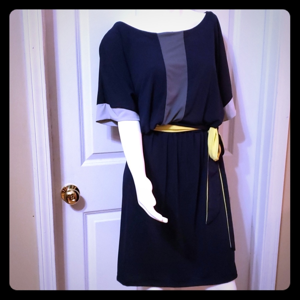 Color blocked  dress